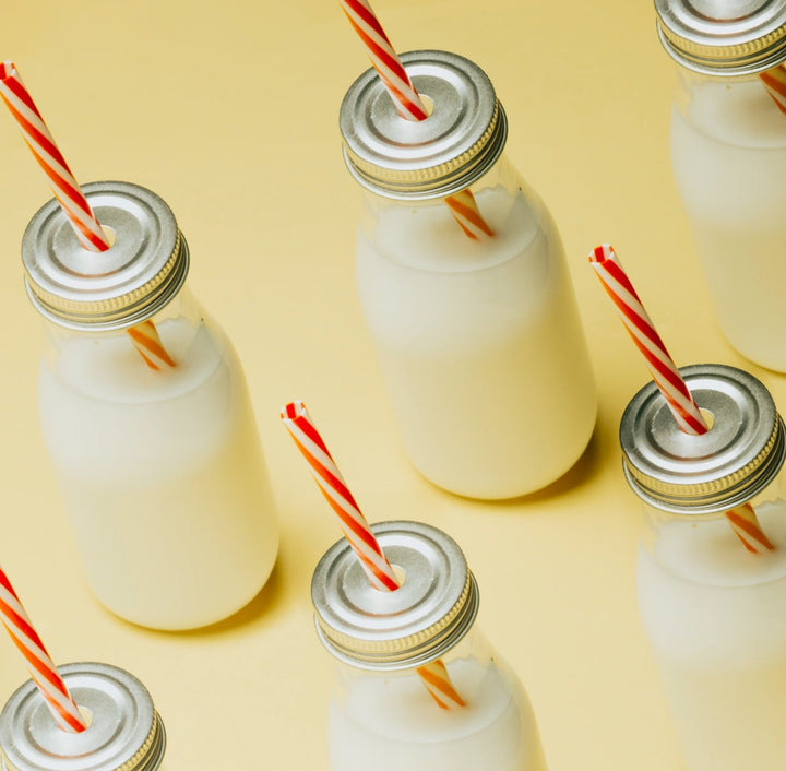 5 Secrets of New Zealand Milk Powder - Lowrey Foods