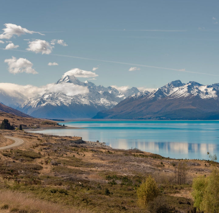 7 Most Popular Foods to Try in New Zealand (2025 Guide) - Lowrey Foods