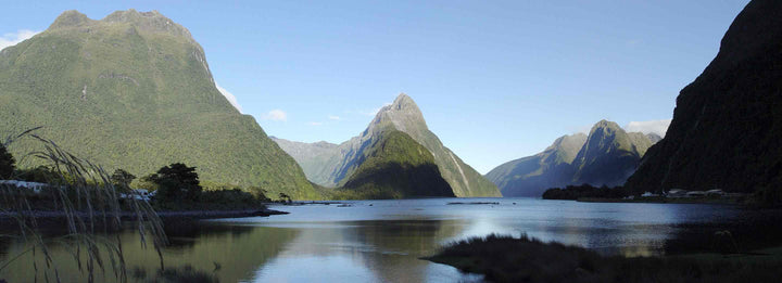 Is New Zealand a Good Relocation Choice for US Expats? - Lowrey Foods